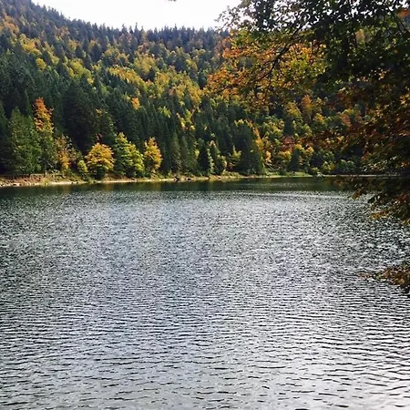 Du Ballon D'alsace Hébergement de vacances Lepuix-Gy